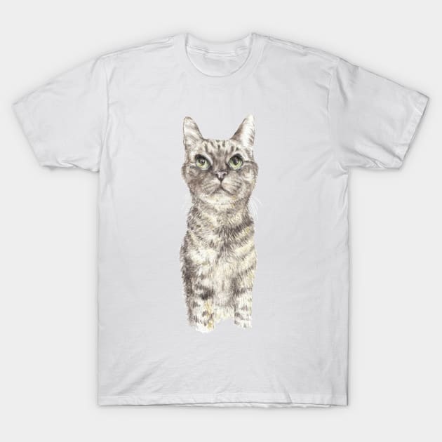 Tabby Cat T-Shirt by wanderinglaur